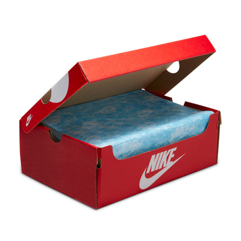 Nike Dunk Low Retro SE 'Gone Fishing'