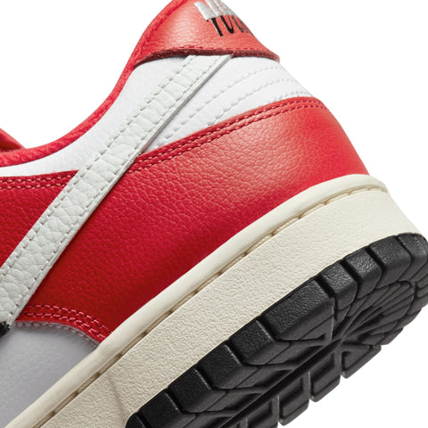 Nike Dunk Low Retro PRM 'Split Chicago'