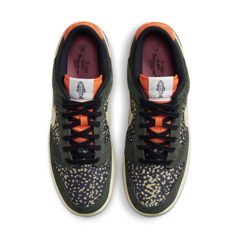 Nike Dunk Low Retro SE 2 'Rainbow Trout'