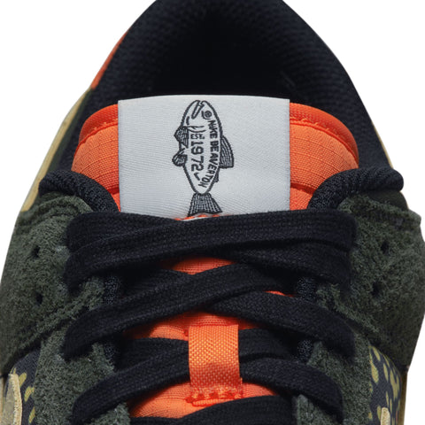 Nike Dunk Low Retro SE 2 'Rainbow Trout'