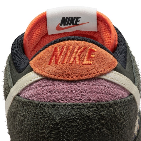 Nike Dunk Low Retro SE 2 'Rainbow Trout'