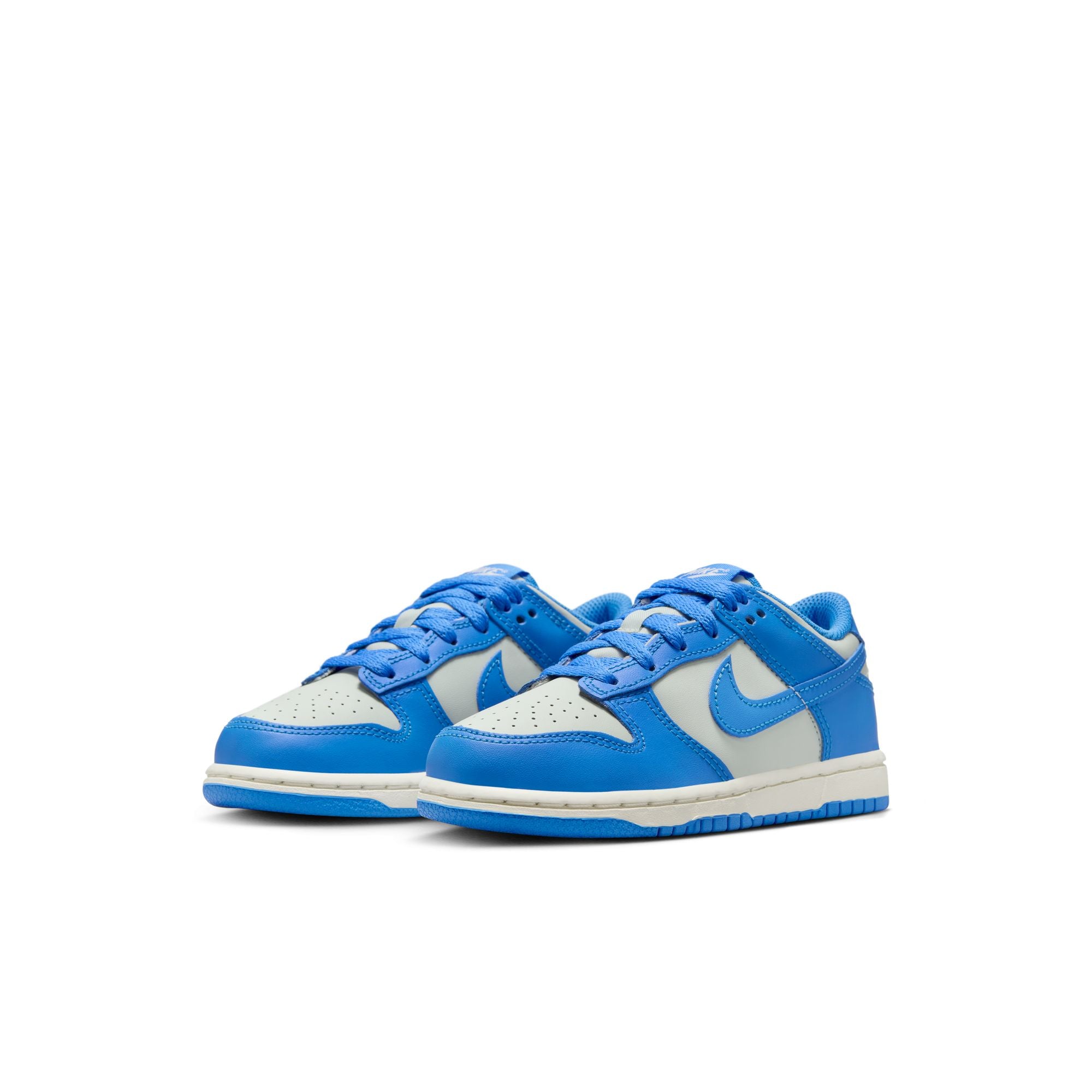 Nike Dunk Low PS 'Photo Blue Sail'