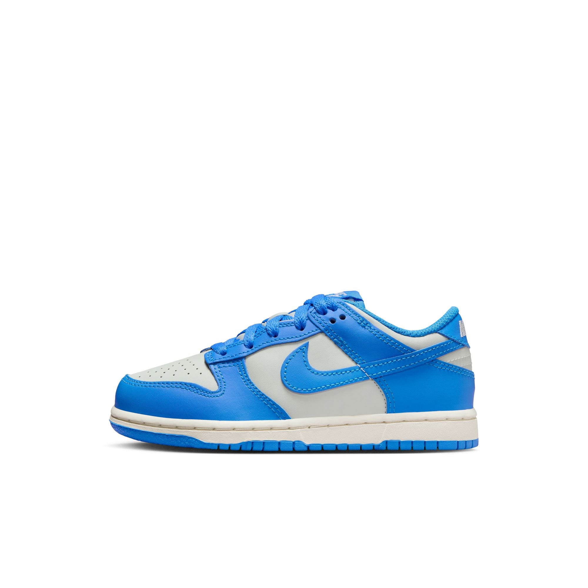 Nike Dunk Low PS 'Photo Blue Sail'