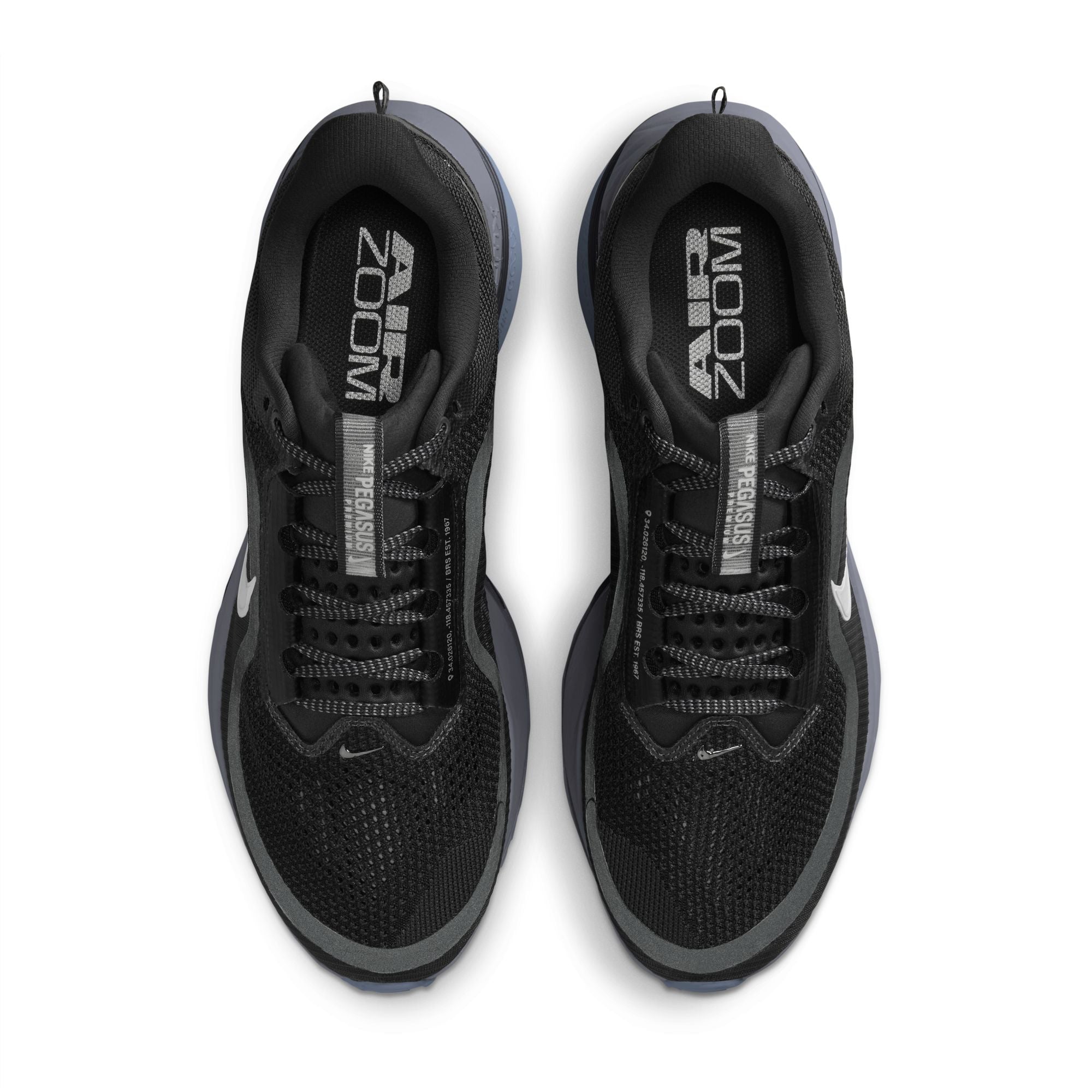 Nike Pegasus PRM 'Anthracite'