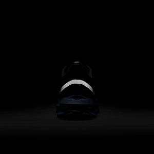 Nike Pegasus PRM 'Anthracite'
