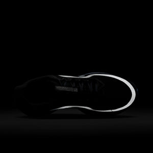 Nike Pegasus PRM 'Anthracite'