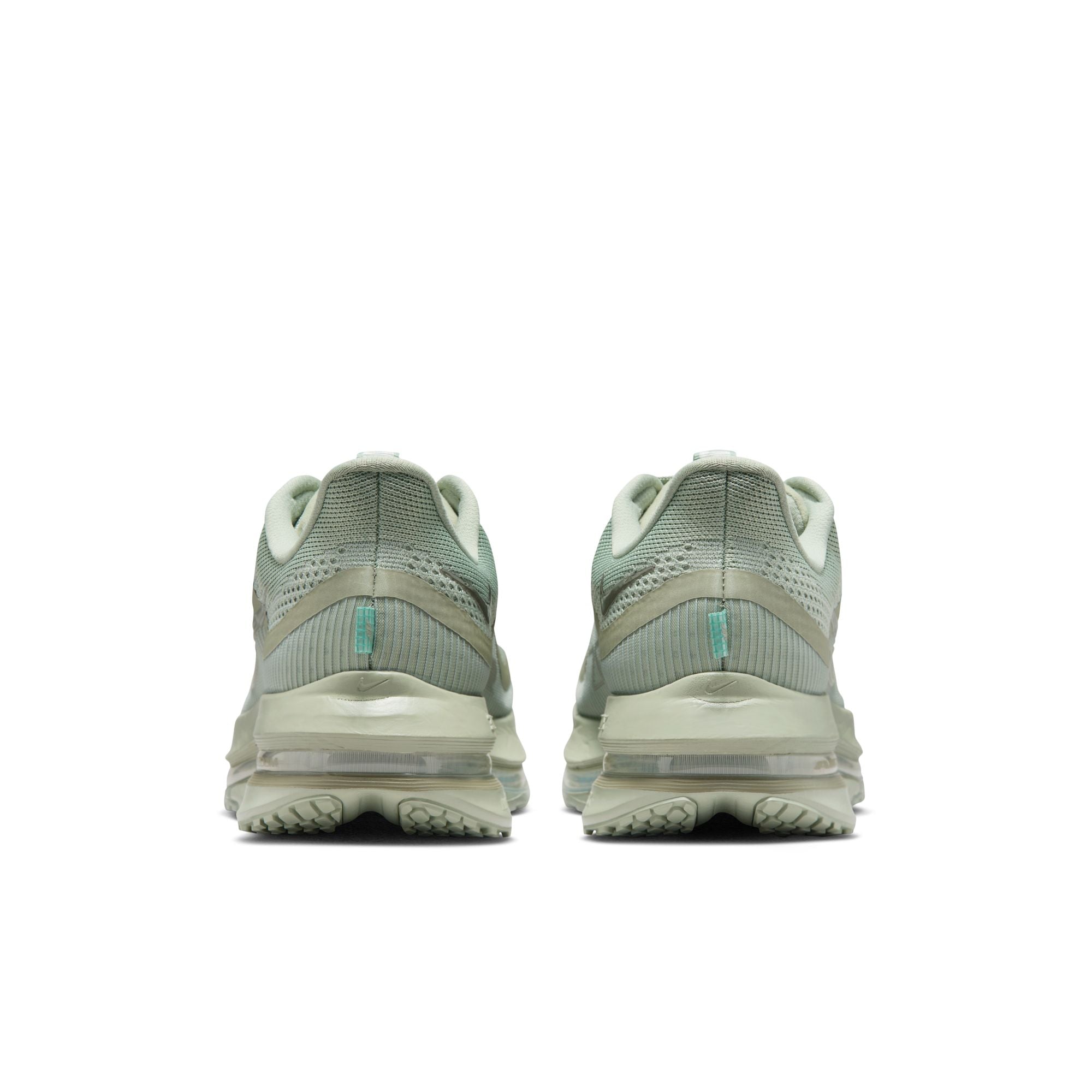 Nike Pegasus PRM 'Jade Horizon'