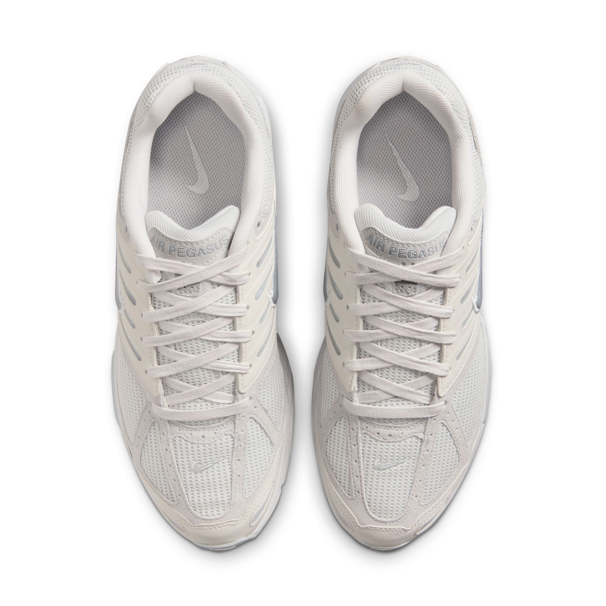 Nike Air Pegasus 2005 SE 'Platinum Tint'