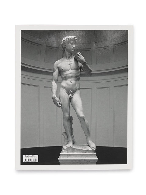 Michelangelo