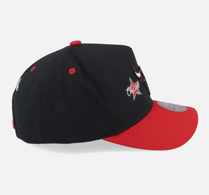 NBA Star Power Pro Bulls Snapback