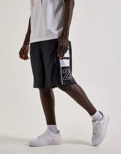 Jordan Brooklyn Cat Scratch Men's Shorts