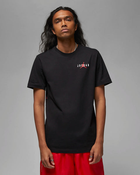 Jordan Essentials Men's T-Shirt 'Dunk Silhouette'